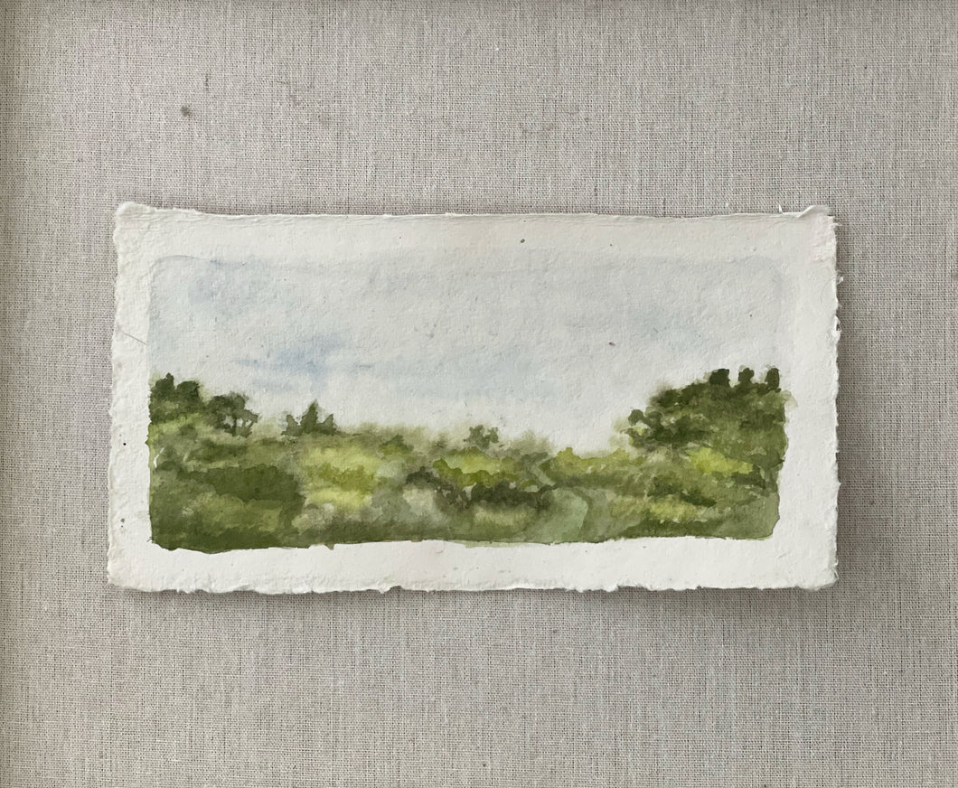 Landscape #25